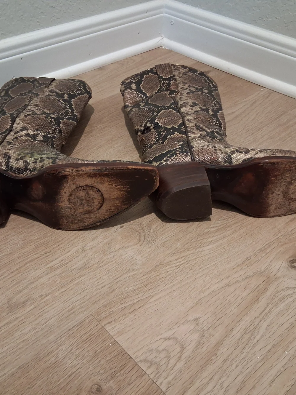 Women’s Brown Snake-Print Western Ankle Boots, Republic of Texas.